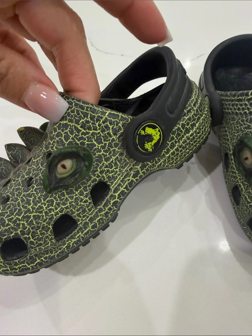 Crocs alligator